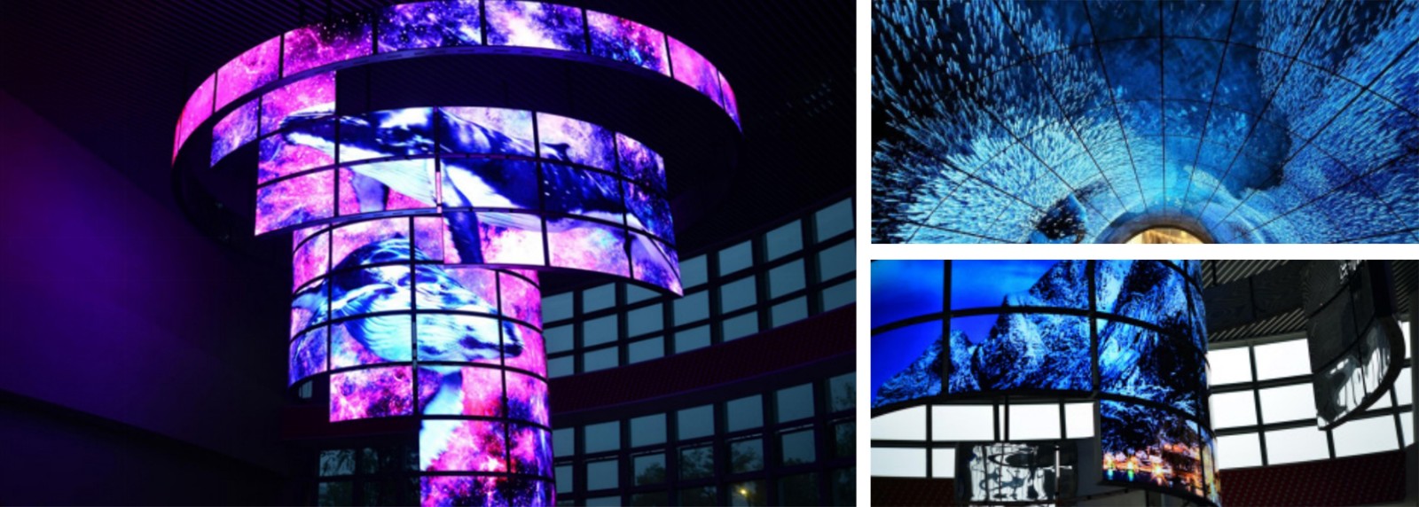 1625561735717170ax47.jpg 未標題-2.jpg